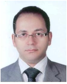 Mohamed Mostafa Hosney El-Sayed